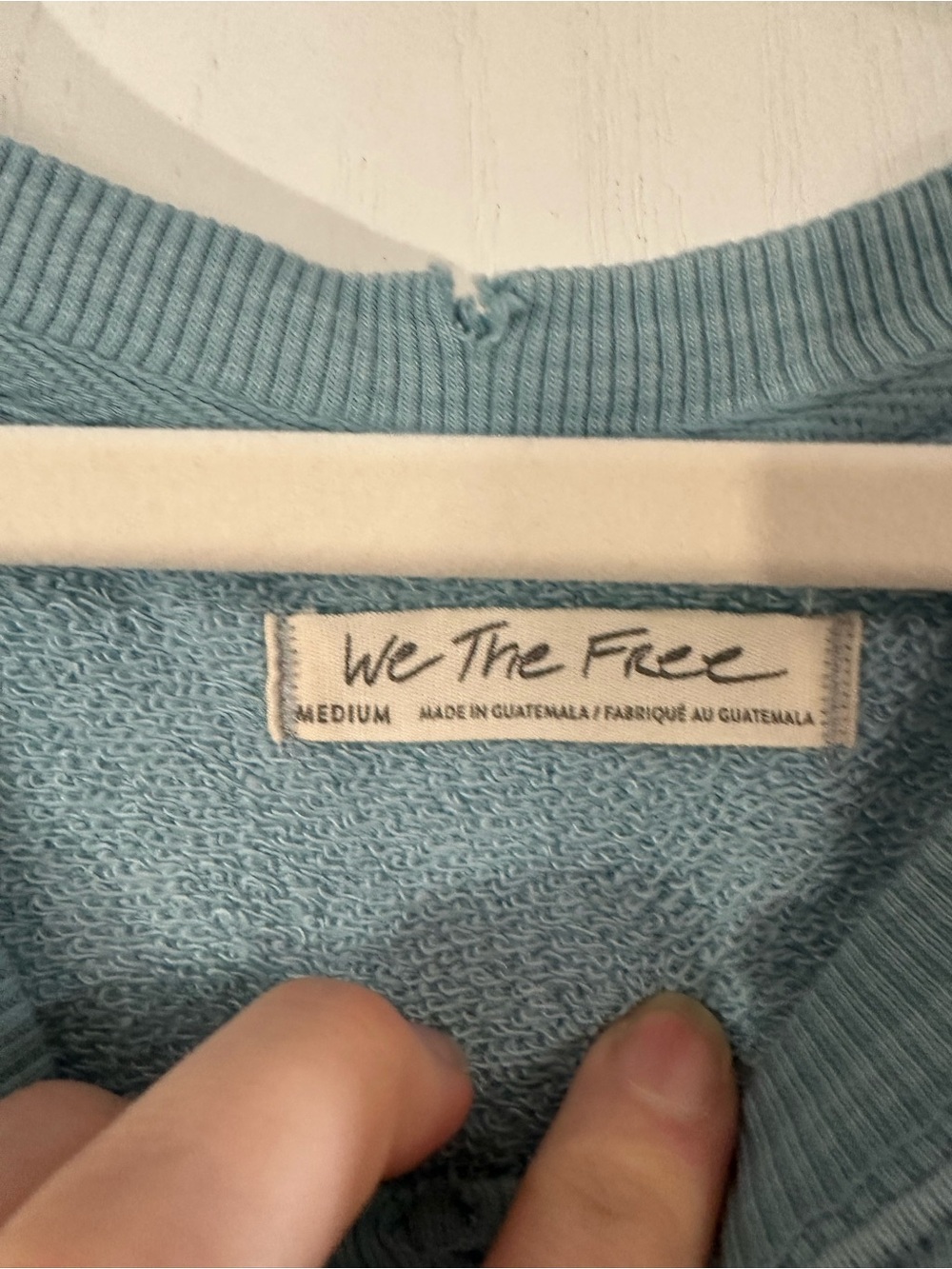 Free People Blue Sand Dollar “Camden” Graphic Sweatshirt - Picture 3 of 4